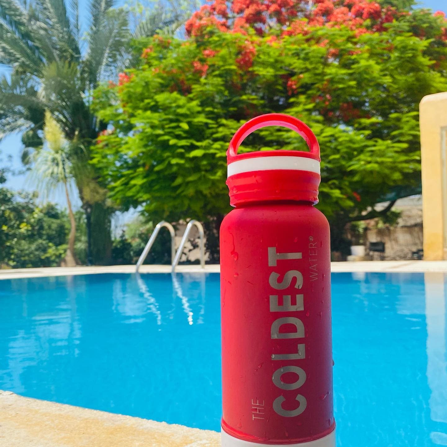 Red Coldest bottle resting on a pool edge